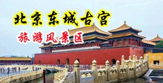 肥屄嫩穴后入无码中国北京-东城古宫旅游风景区